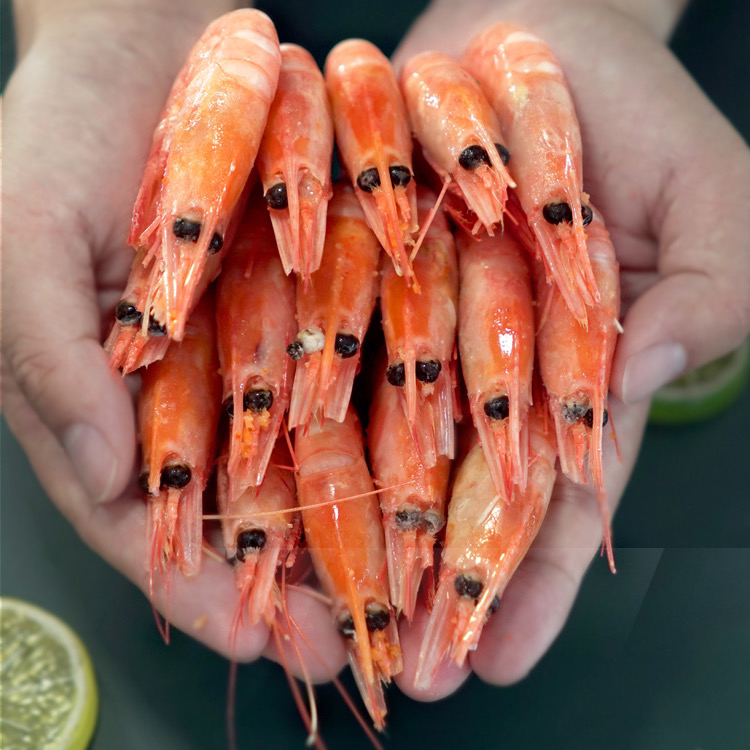 【鑫威海鲜】北极熊原箱90/120十斤 20-30%头籽