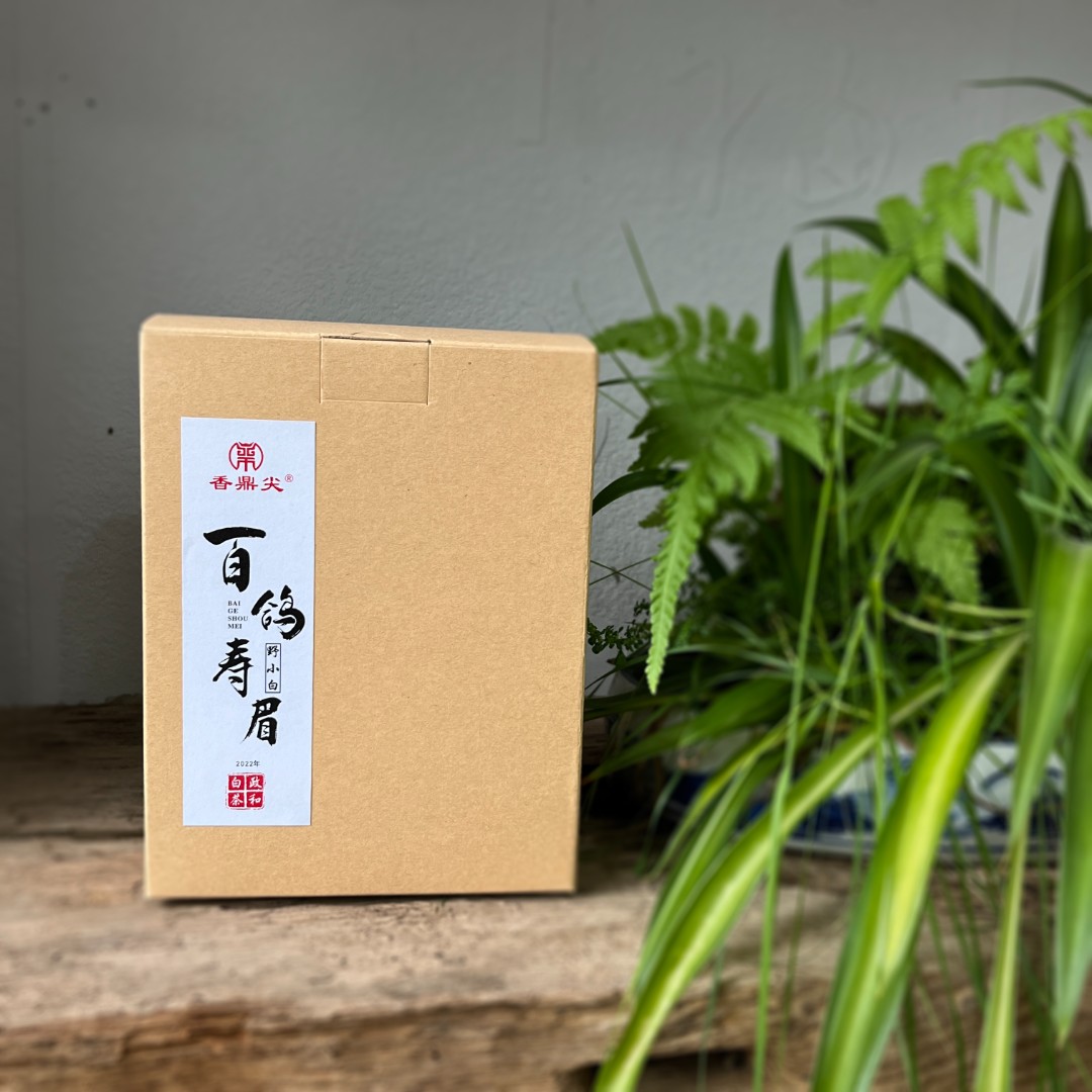 香鼎尖百鸽寿眉2022年春季高山荒野寿眉50g