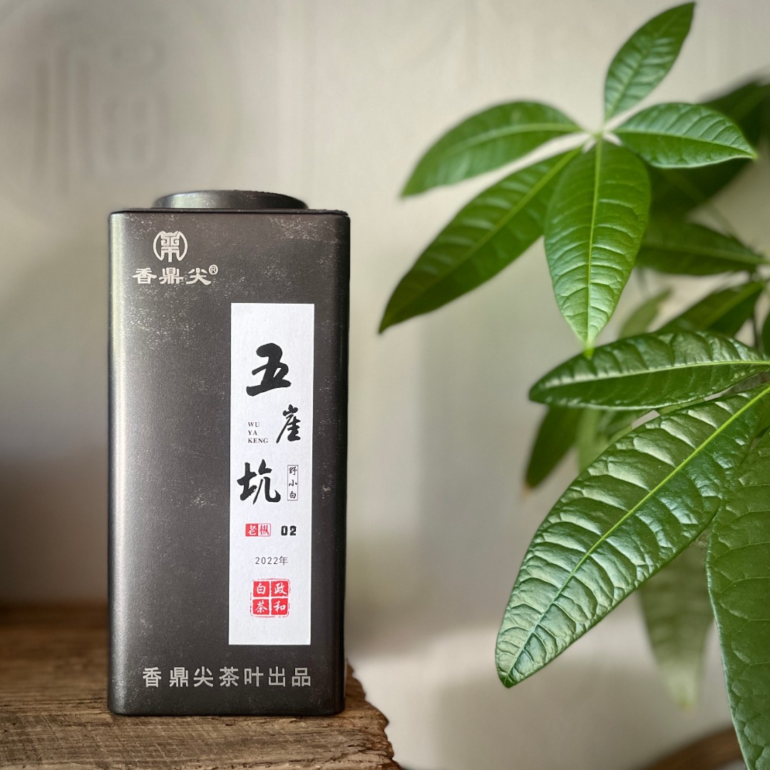 香鼎尖2022年五崖坑老枞02野小白 春季荒野贡眉 政和白茶50g/罐