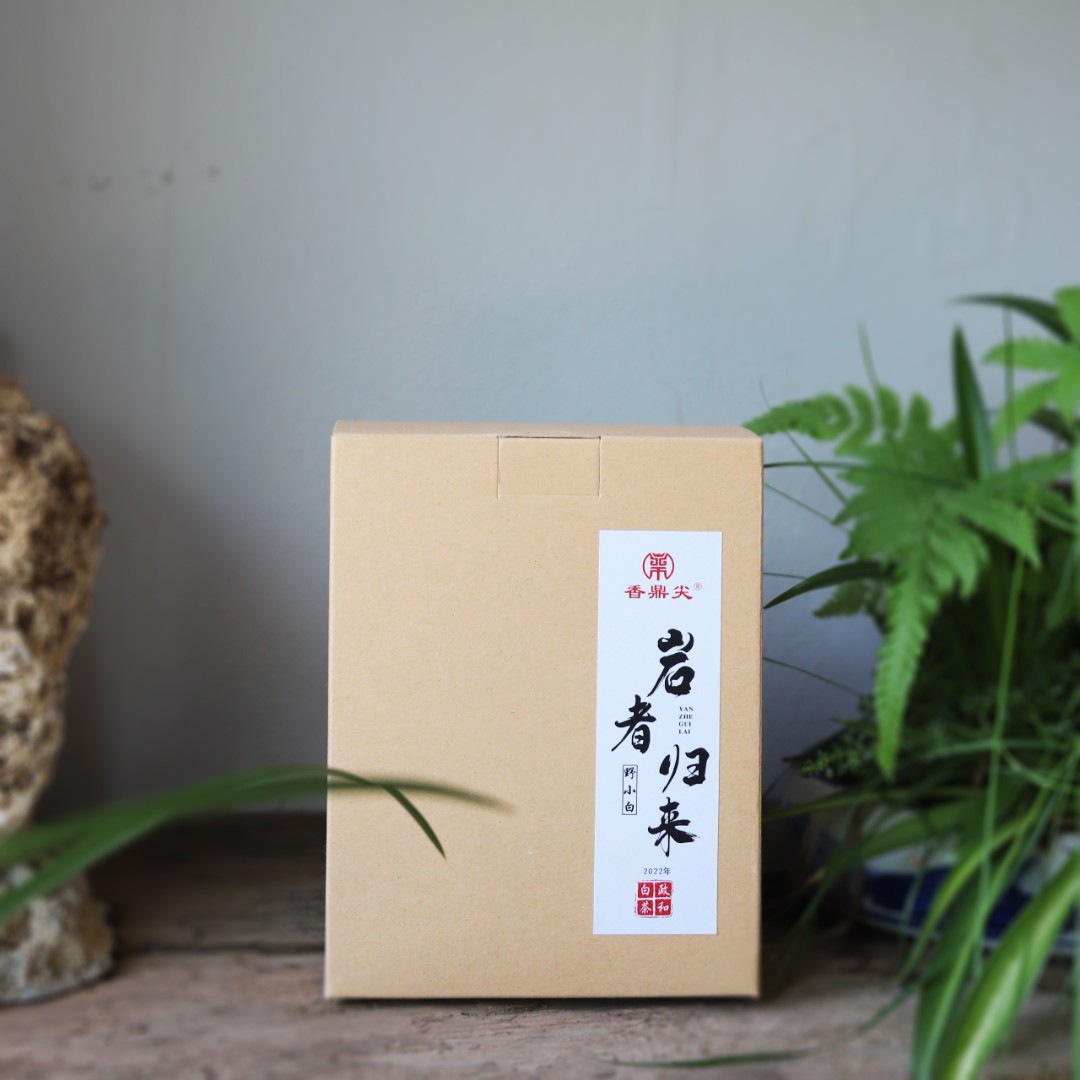 香鼎尖岩者归来野小白2022年春季高山荒野寿眉60g/盒