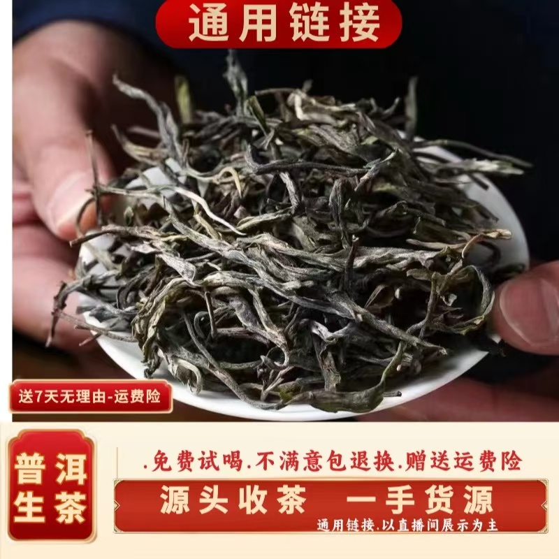 （CN785）xdm/2023年春/小户赛53号大树/晒青毛茶/500g散装