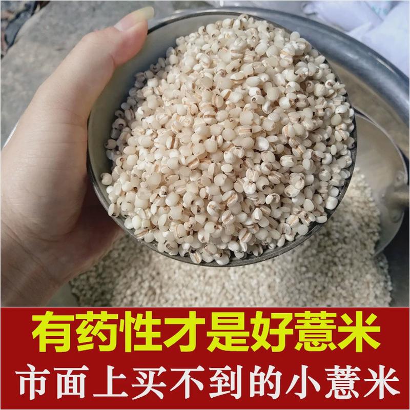 金沙薏米仁新货非特级薏仁米药用薏苡仁福建新鲜小薏米仁小粒中药