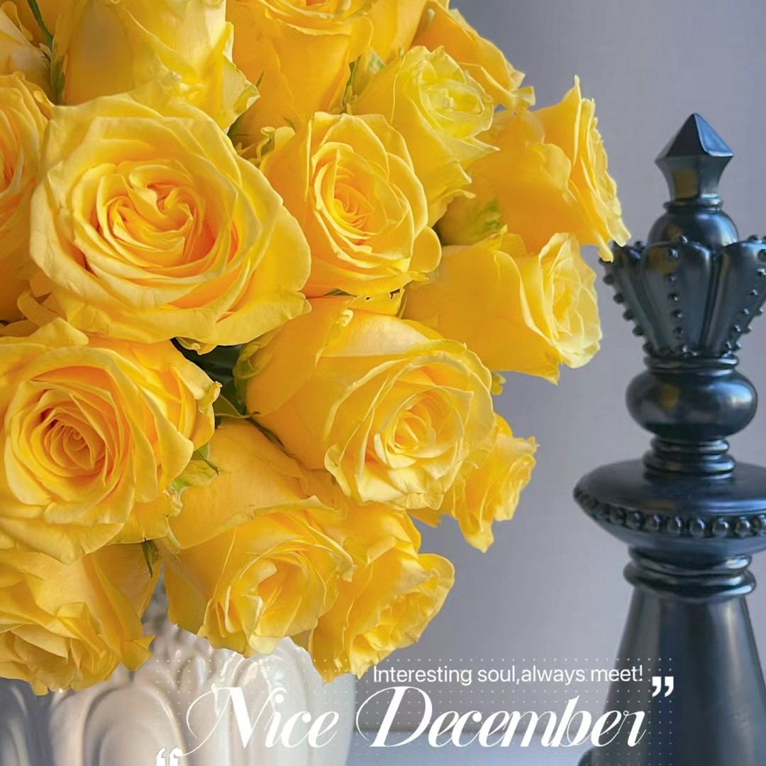 金枝玉叶——单头玫瑰--收到花花第一时间醒花哦