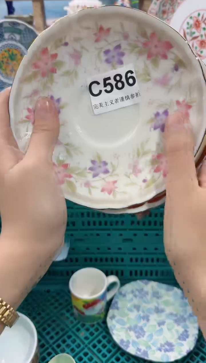 【闪购商品】瓷片除破损外 不退不换C586