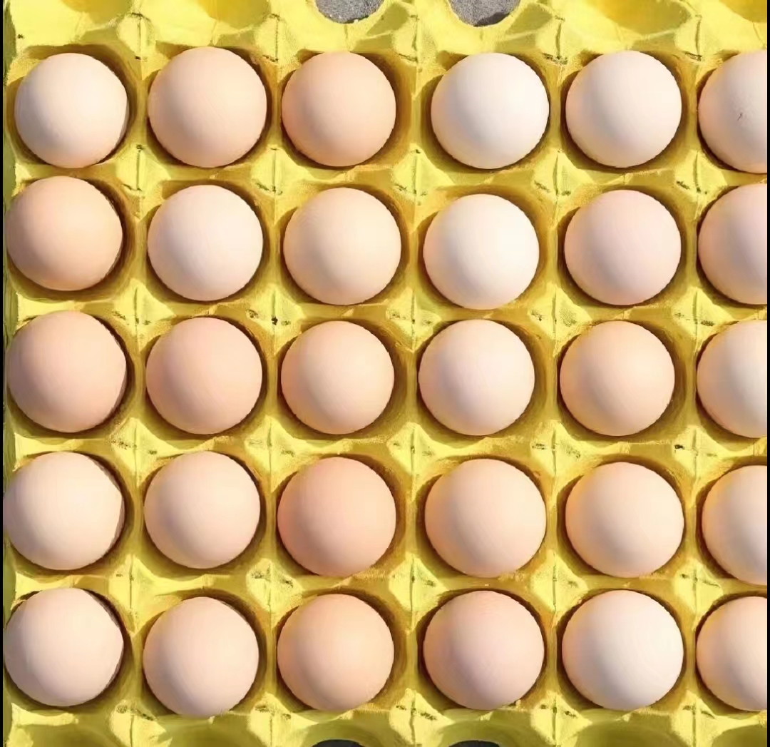 【独立包装】土鸡蛋新鲜鸡蛋散养土鸡蛋散养柴鸡蛋正宗虫草月子早餐