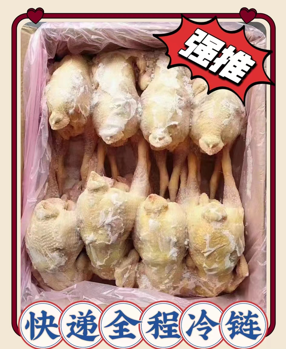 新鲜冷冻三黄鸡乌鸡大公鸡带箱20斤包邮 包冰率10%以内