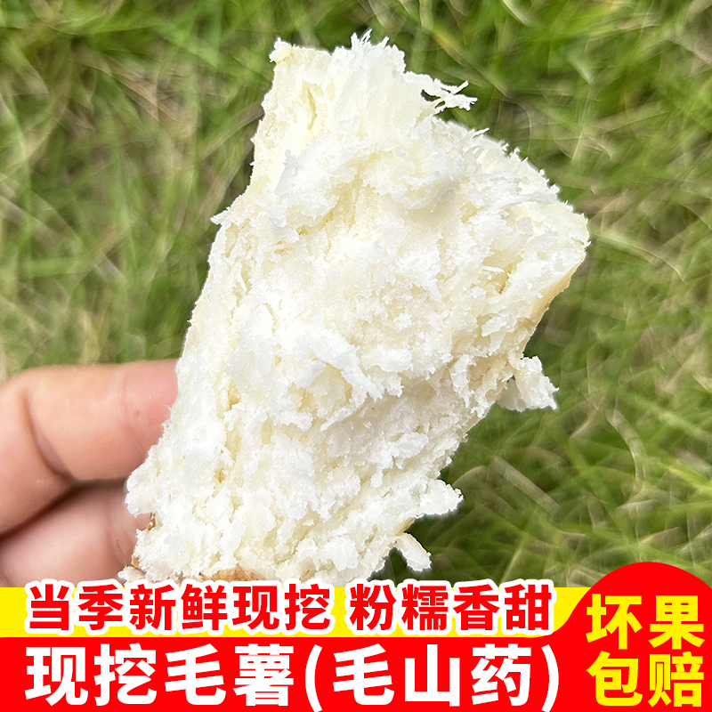 广东新鲜毛薯农家种植香甜粉糯香绵猪仔薯脚板薯3斤5斤