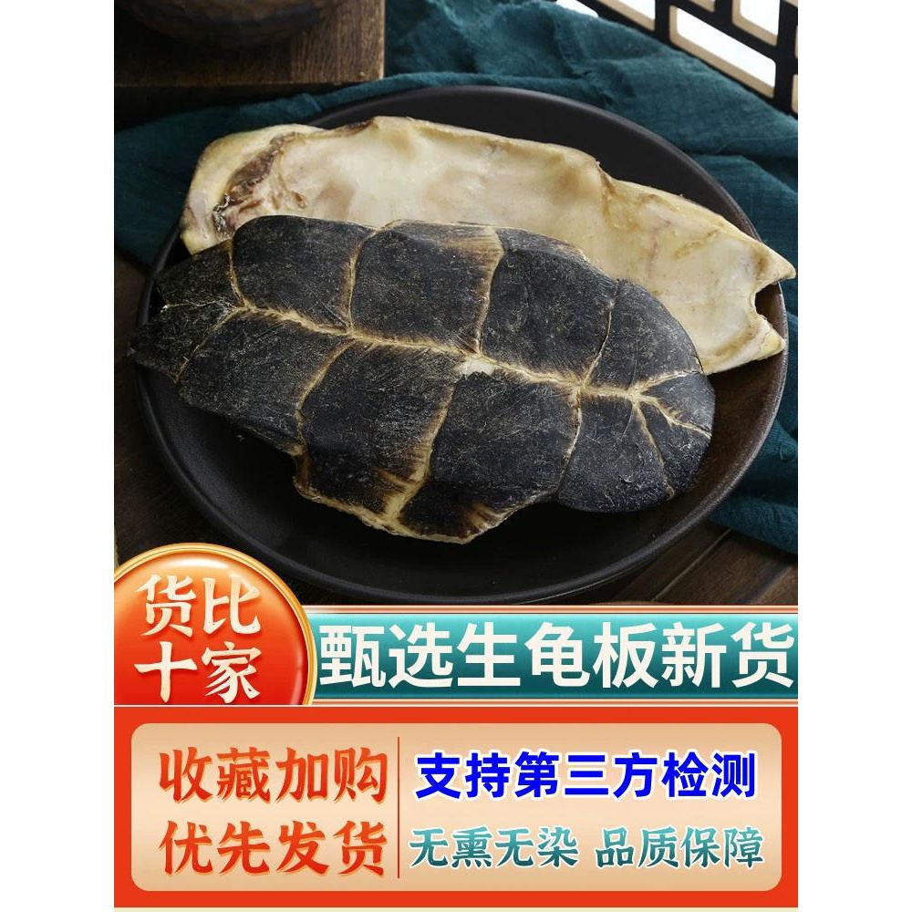 生晒龟板外塘中华草龟板乌龟壳中药材龟板龟苓膏龟甲煮汤药引肉桂