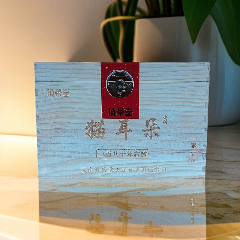 【猫耳朵】2024年猫耳朵一百八十年古树料云南普洱生茶500克/木箱装