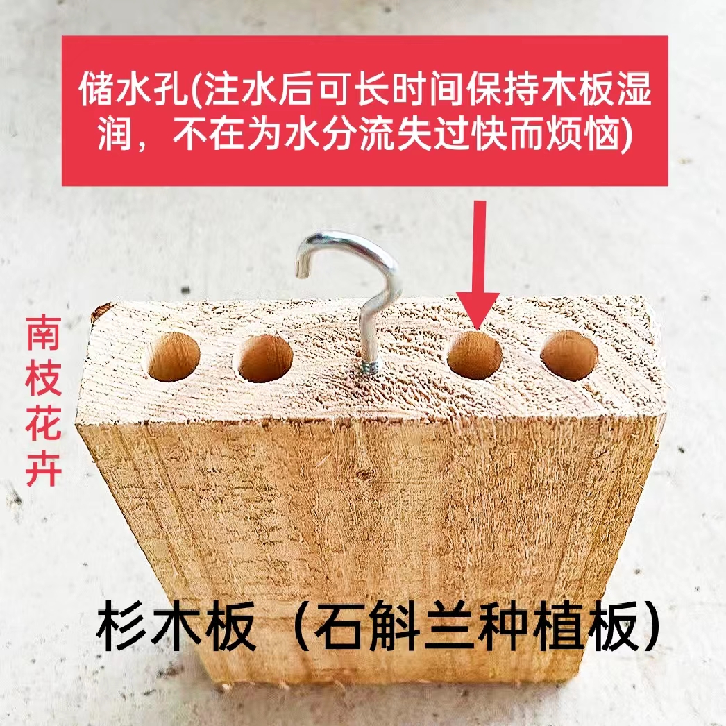 杉木板【可用于种植石斛附生兰科花卉，不易腐根】