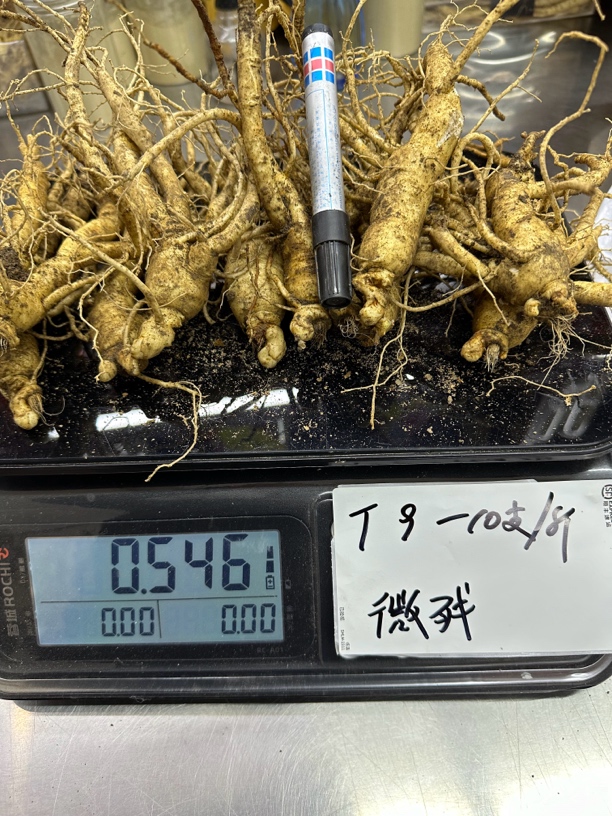 顺丰空运包邮长白山5年种植微残新鲜人参西洋参一斤10根经济实惠