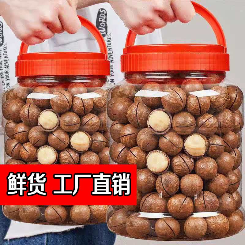 新货大颗粒夏威夷果500g大颗奶油味坚果干果零食批发20g大礼包