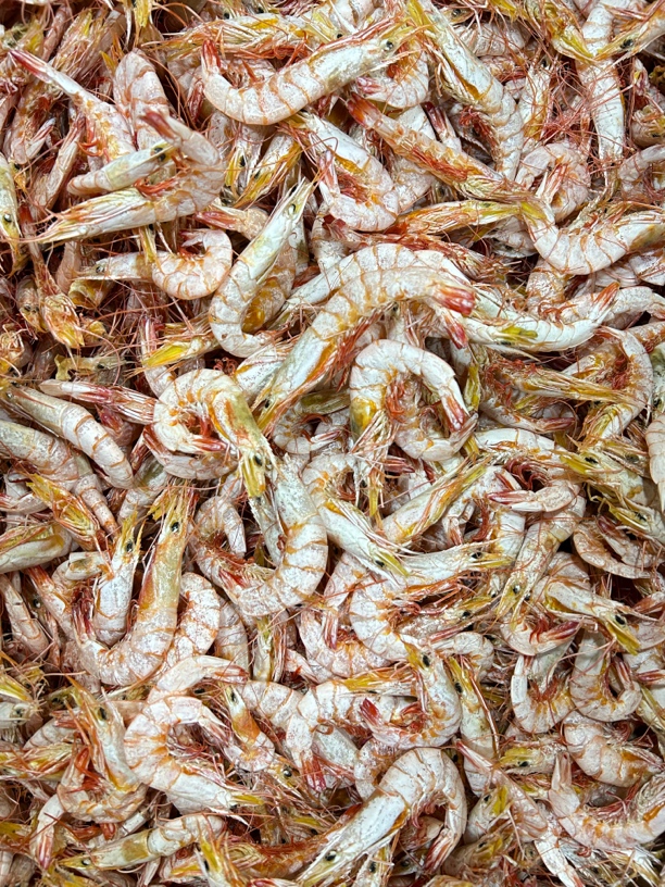 大号卢虾干-活晒野生卢虾干