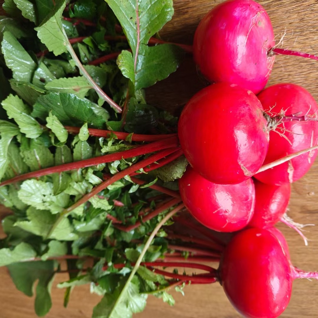 新鲜清甜去叶萝卜迷你红萝卜可做沙拉食材