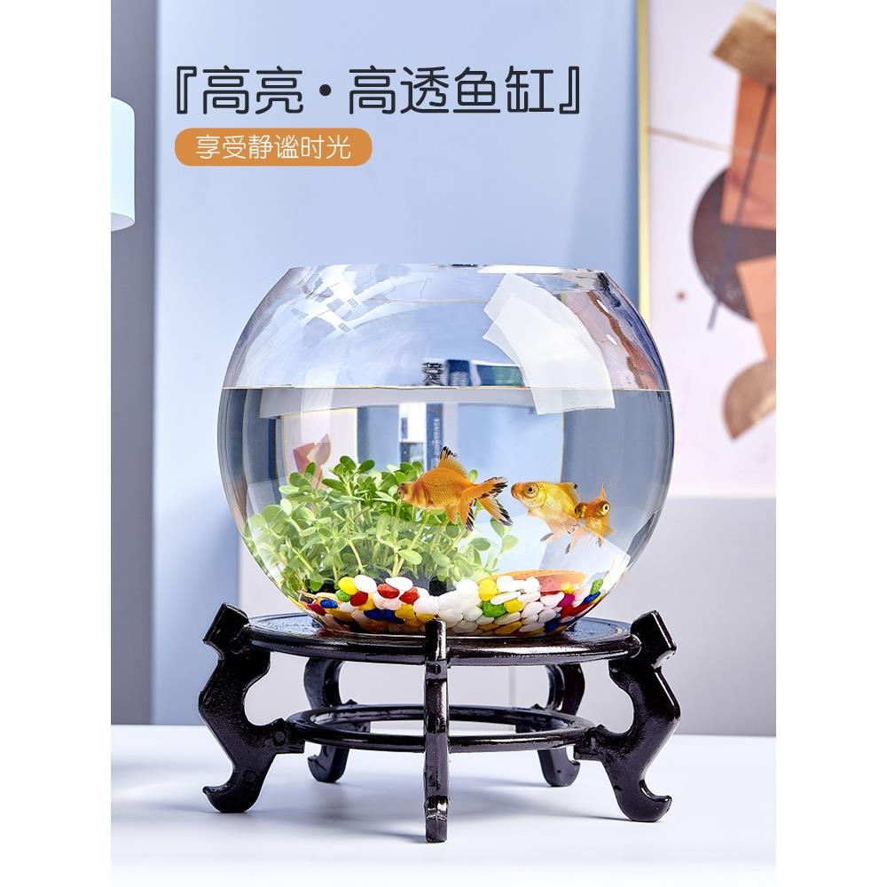 2021玻璃简约桌面大号水仙花瓶睡莲铜钱草水培养鱼养花特大号花盆