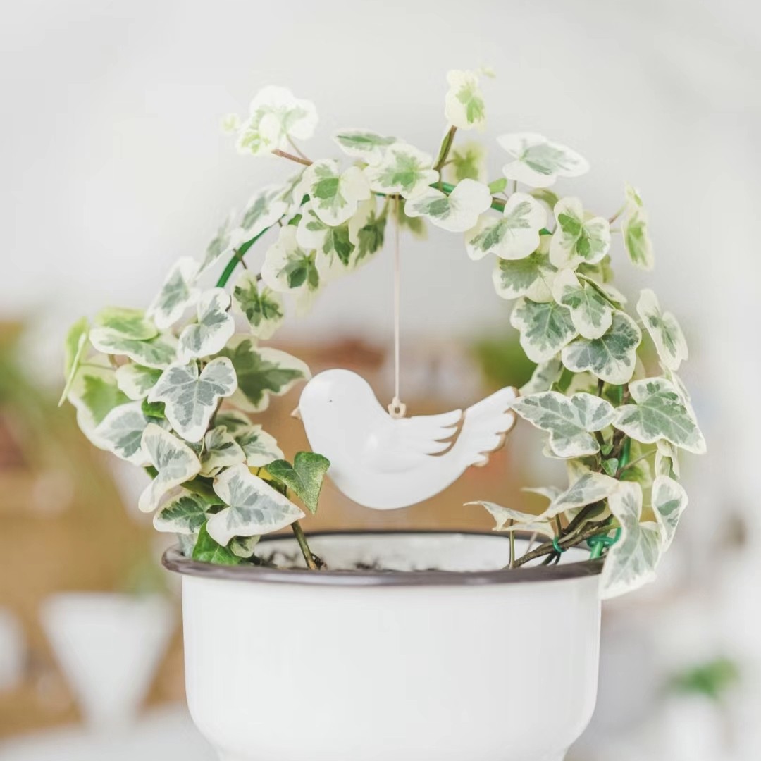 雪莹常春藤油画风锦化观叶室内办公室花园绿植盆栽