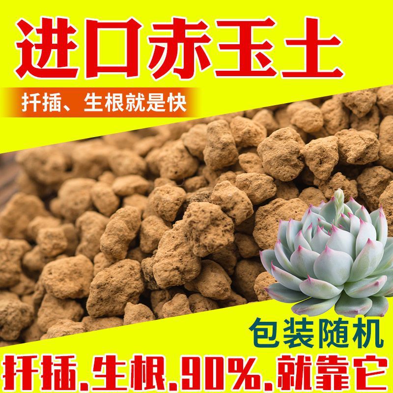 赤玉土硬质纯颗粒多肉盆景扦插生根铺面石爬宠颗粒土