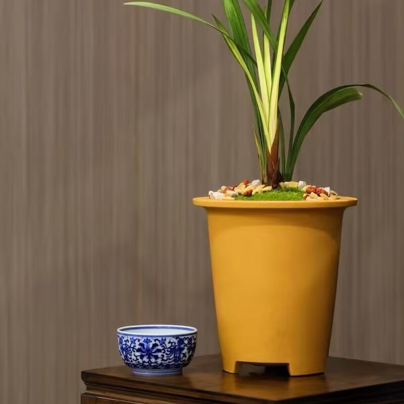 宜兴紫砂春兰建兰大富贵君子兰蝴蝶兰花盆（ 帽桶兰花盆）