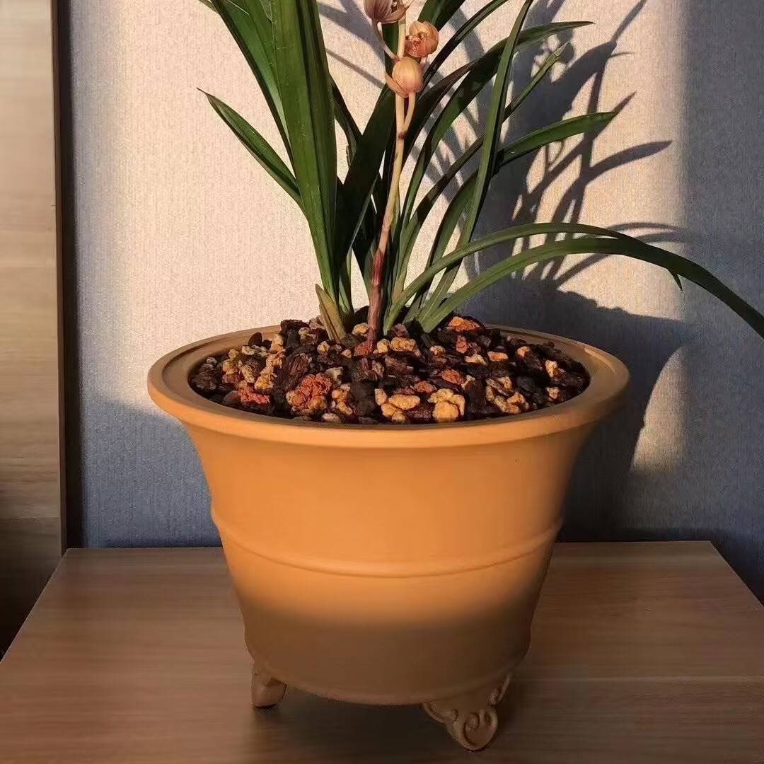 宜兴紫砂云足春兰大富贵君子兰 兰花盆 {腰线云足}