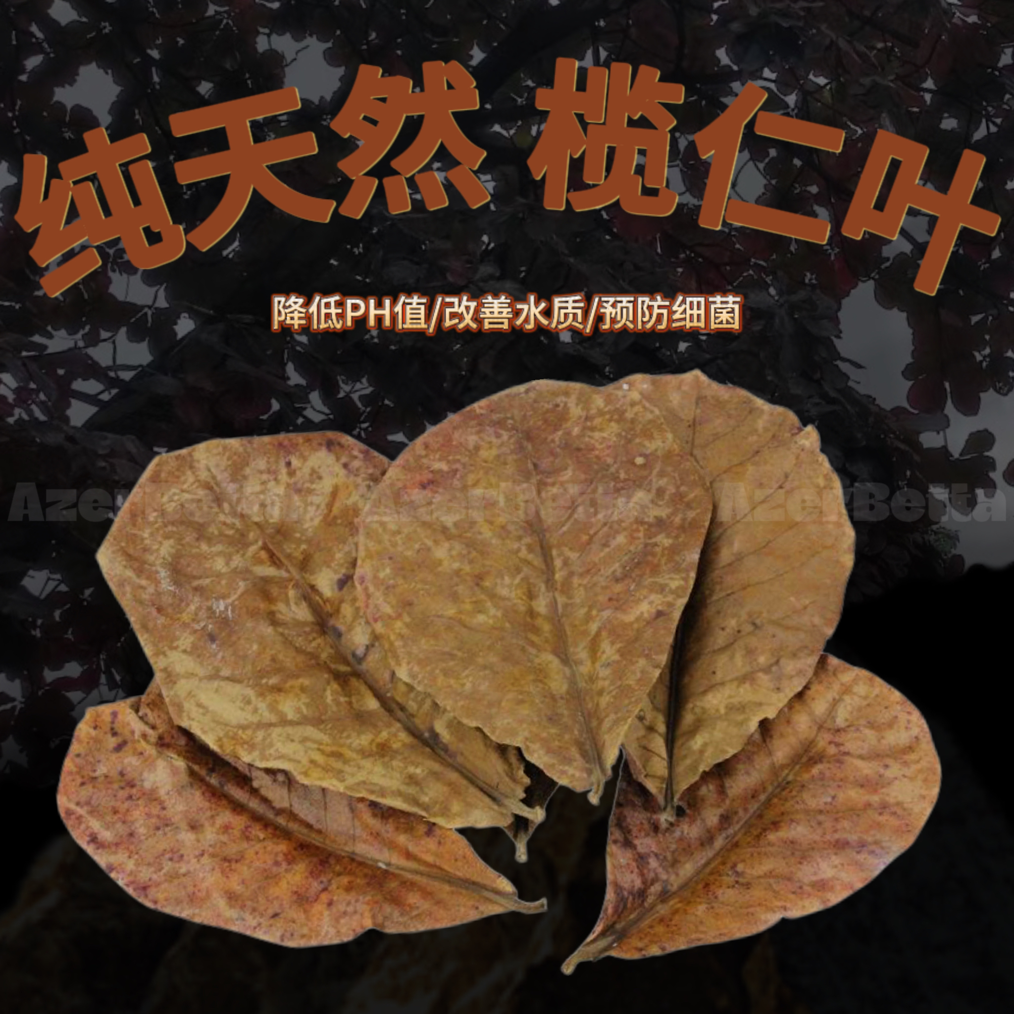 精选天然榄仁叶鱼缸降低ph泰国斗鱼中国斗鱼小型观赏鱼鱼缸降酸