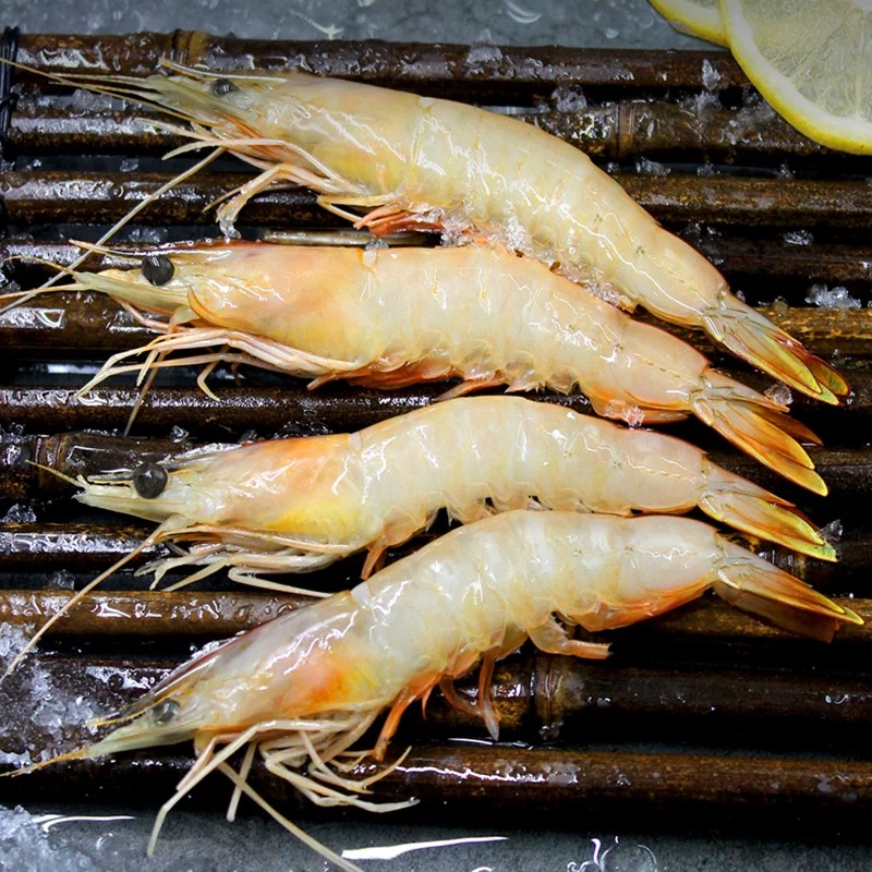 【精选】1620特大海捕大虾 国王虾 野生虾 带膏明虾 新鲜保鲜冷链 