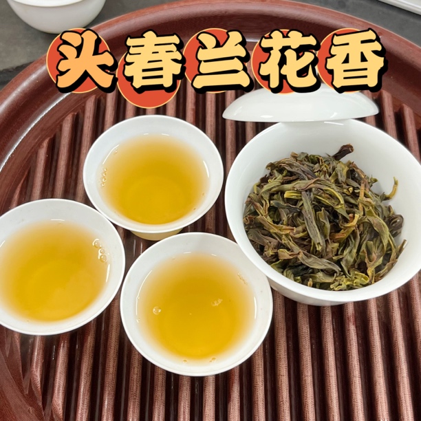 【2025头春大乌叶】单丛2025新茶头春兰花香兰花蜜韵鲜爽回甘