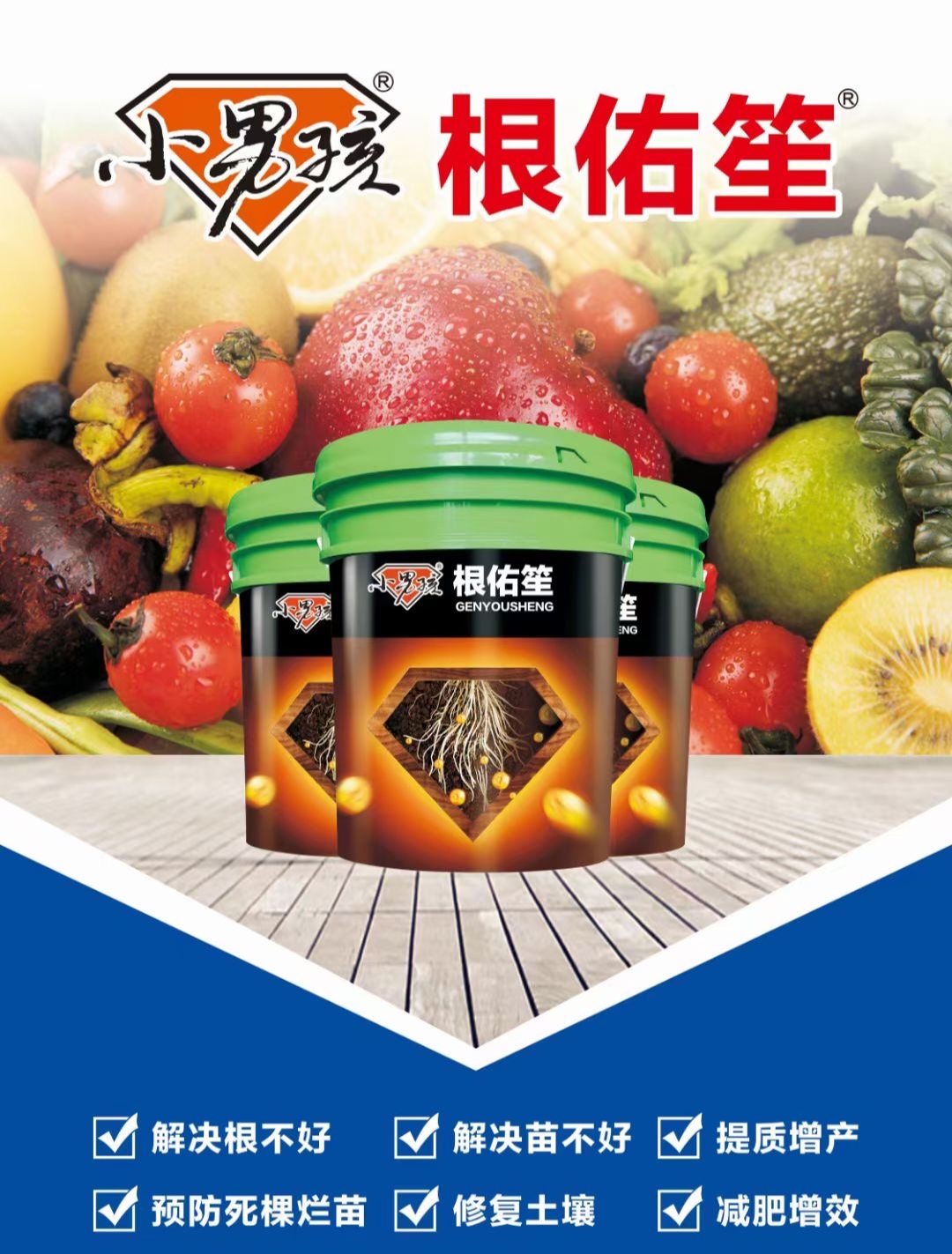 波尔森小男孩专注生根，防根部病害