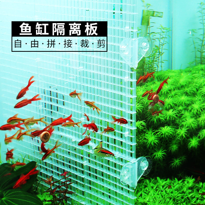 鱼缸隔离板自由裁剪亚克力隔离网分隔箱分离板透明网格底滤隔挡板
