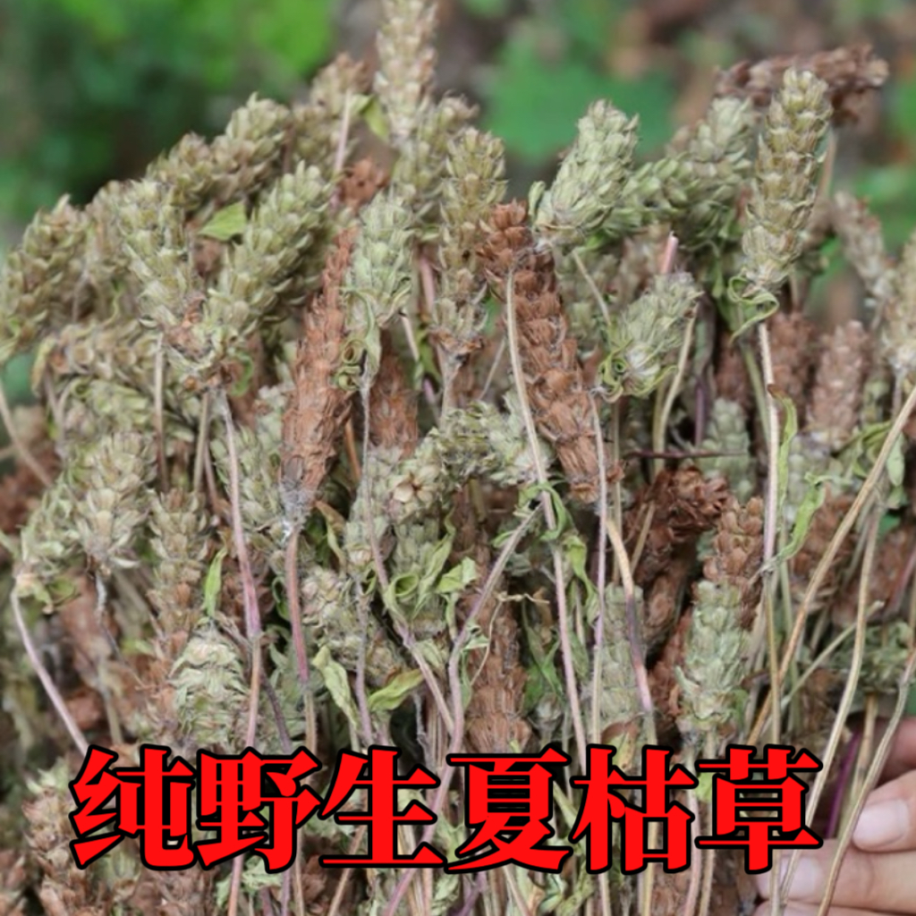 新鲜夏枯草可配桑叶新货干白毛夏枯球带杆全草煲汤煮凉茶