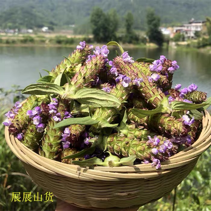 湖北夏枯草可配桑叶新货干白毛夏枯球带杆煲汤煮鸡蛋无硫