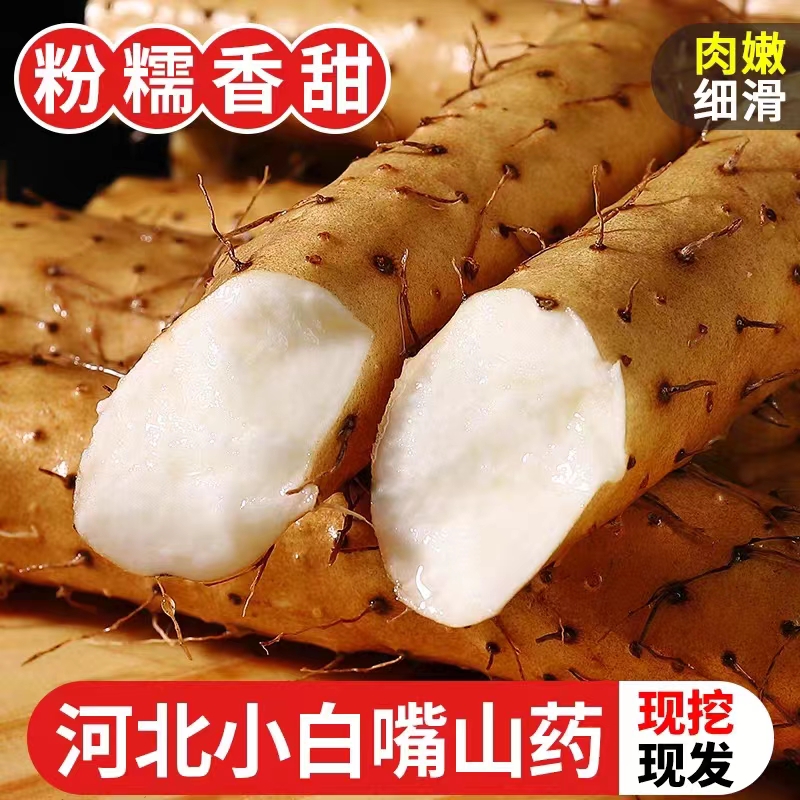 河北小白嘴铁棍淮山药粉糯香甜垆土种植新鲜5斤带土源头产地发货