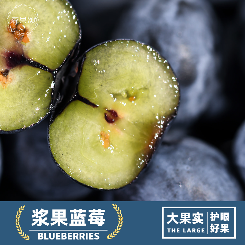 【森叔源选】当季限量版蓝莓应季宝宝杯蓝莓60g盒酸甜【顺丰包邮】