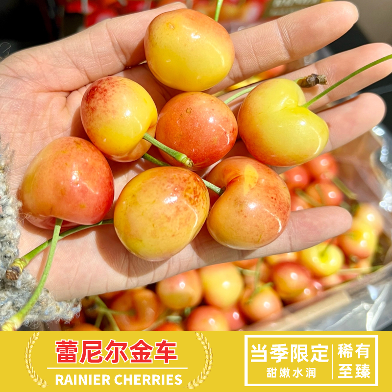 当季限定智利空运蕾尼尔金车厘子1~4.4斤装26-34mm'【顺丰空运】SP