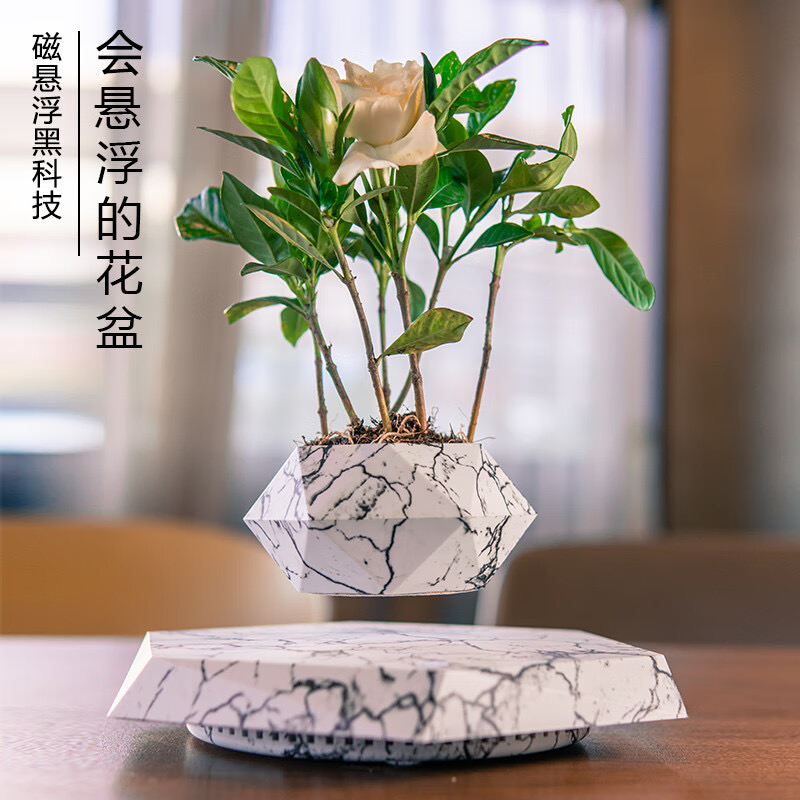 磁悬浮盆栽新奇特花盆创意盆景工艺品礼品教师节礼物客厅书房摆件