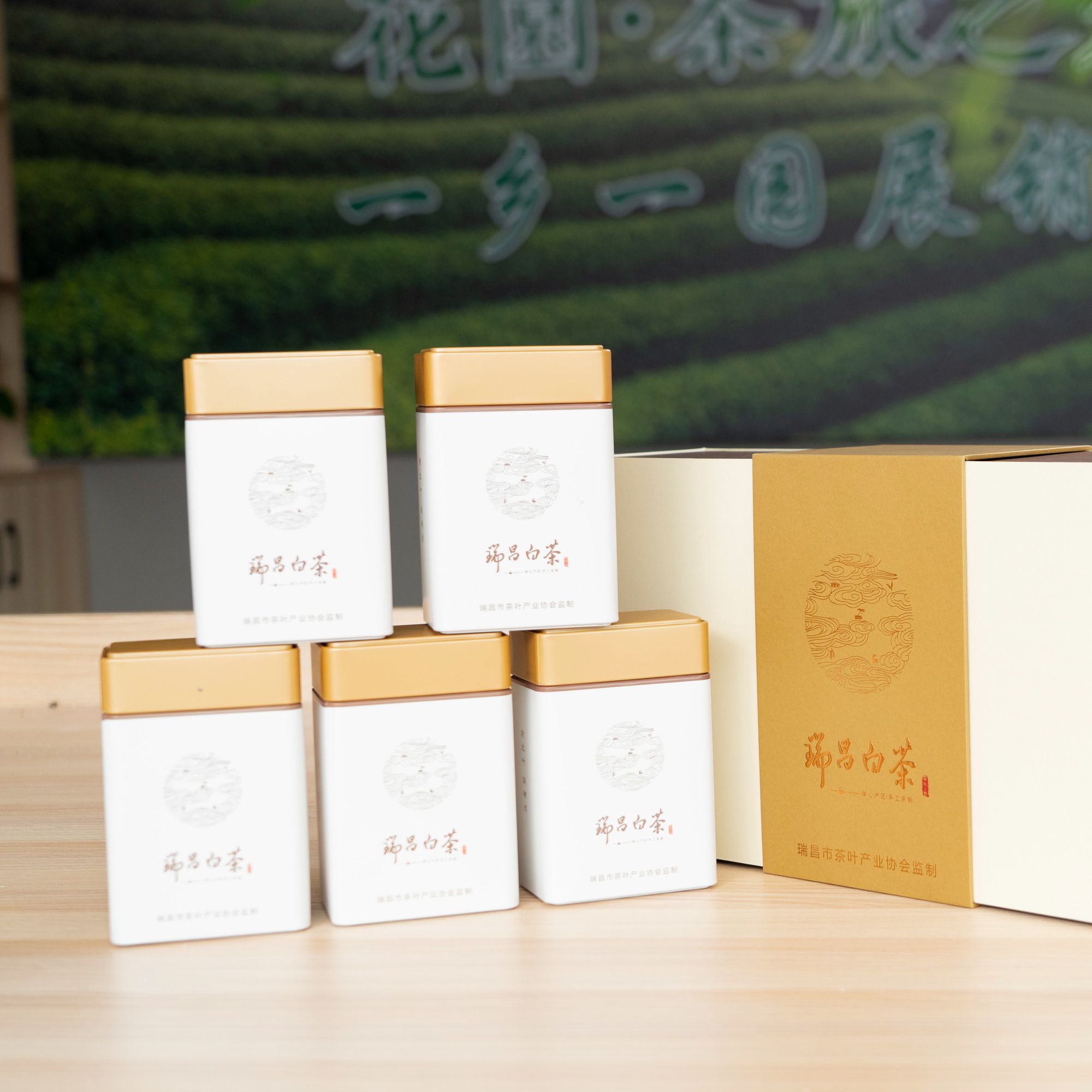 24年新茶半斤礼盒装正宗高山云雾雨前安吉白茶醇香炒青花园绿茶