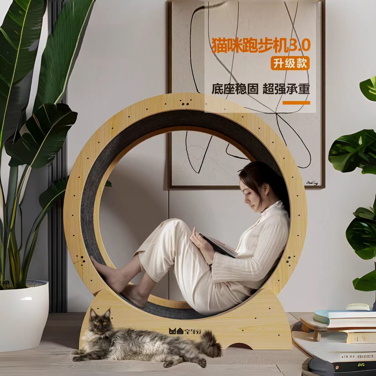 宠物猫咪跑步机高纤维板健身静音滚轮抖音网红实木跑轮猫爬架玩具