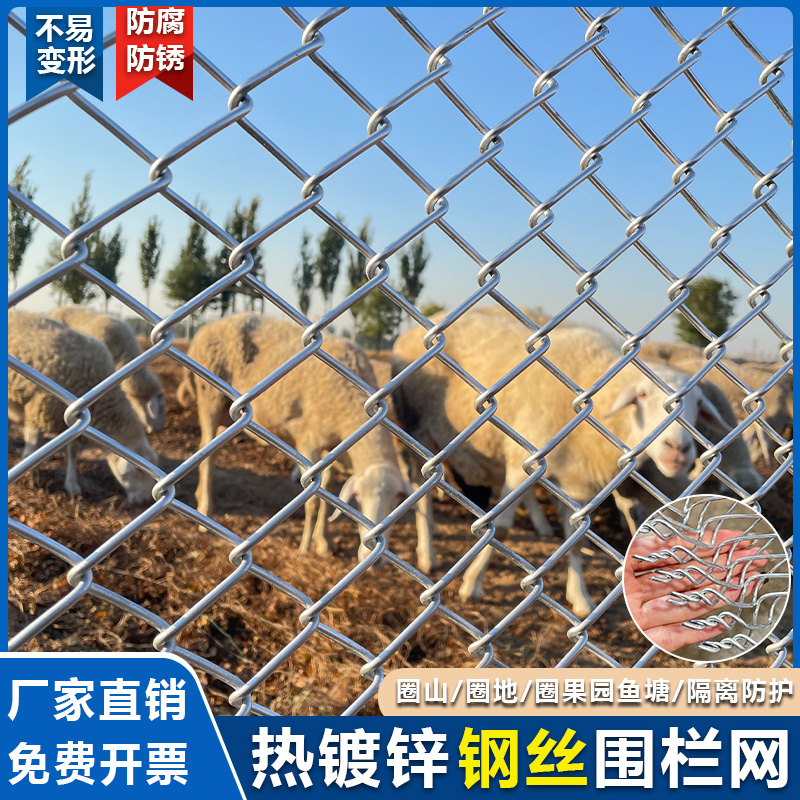 3厘米小孔热镀锌勾花网养殖围栏网户外隔离防护网猪牛羊养殖专用
