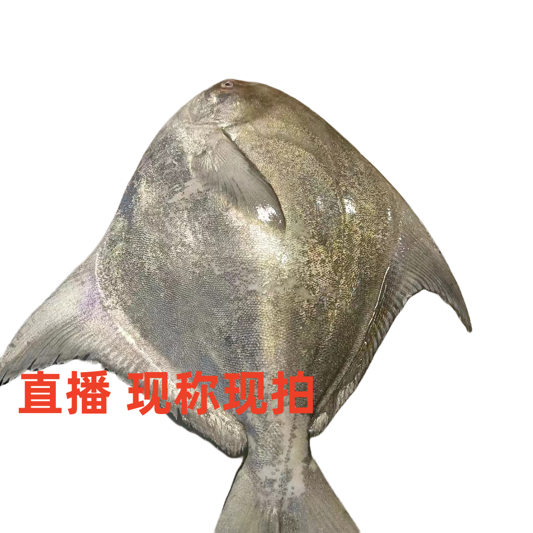 【渔多多】湛江纯野生营养大斗昌鱼现称现拍改价链接顺丰包邮到家