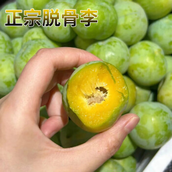 笨狐甄选｜现摘现发正宗青脆李脱骨李子 清甜时令应季水果