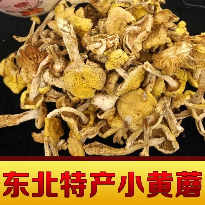 东北特产 初级农产品小黄蘑250克包邮 