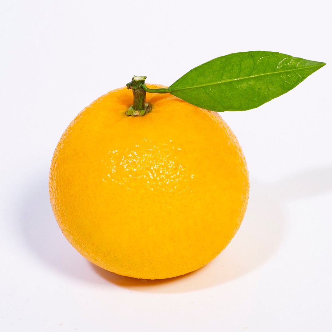 湖北九月红净重5斤小果