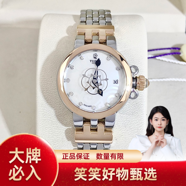 帝舵/自动机械/95新/表径26/S99240724019/241113YQ0037