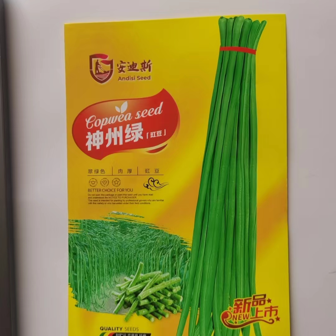 神州绿豆角神州绿