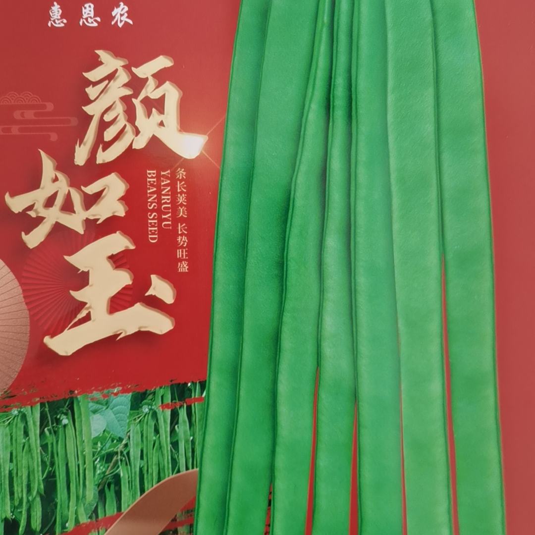颜如玉豆角颜如玉