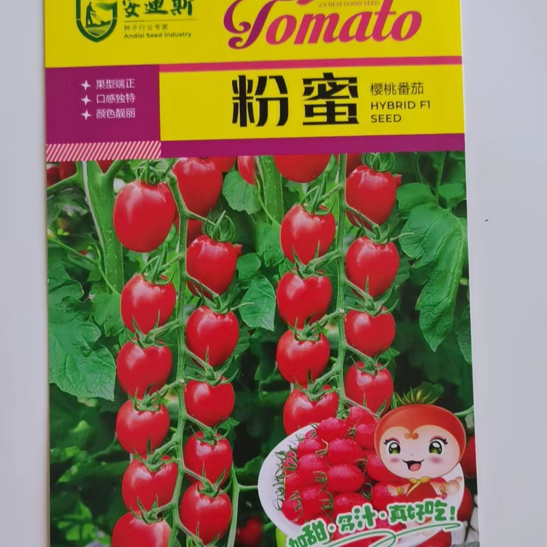 粉蜜小柿子粉蜜小柿子