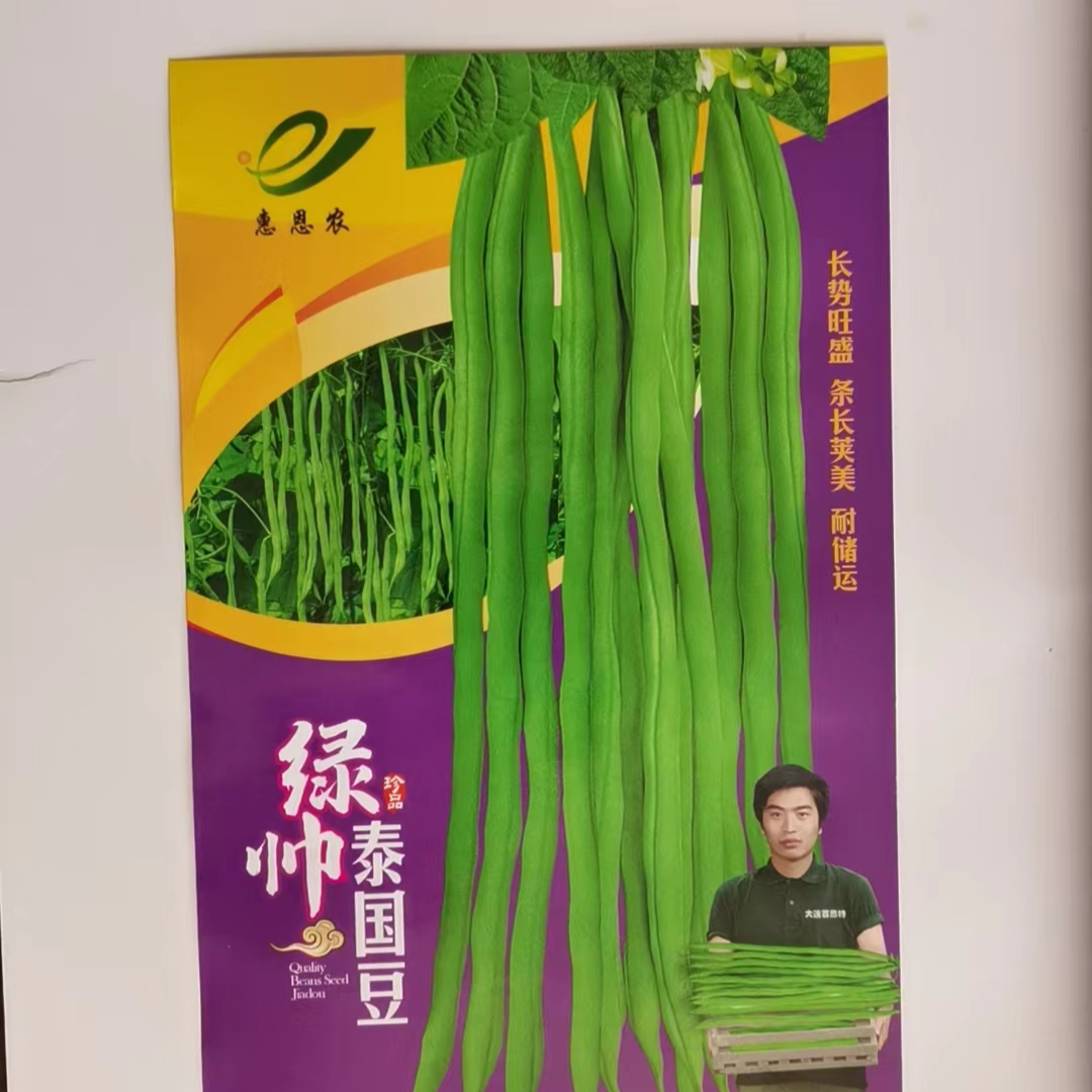 绿帅泰国豆绿帅泰国豆