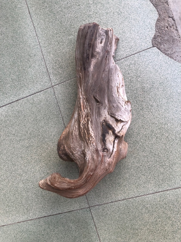 崖柏红骨象形烧鹅  特别润