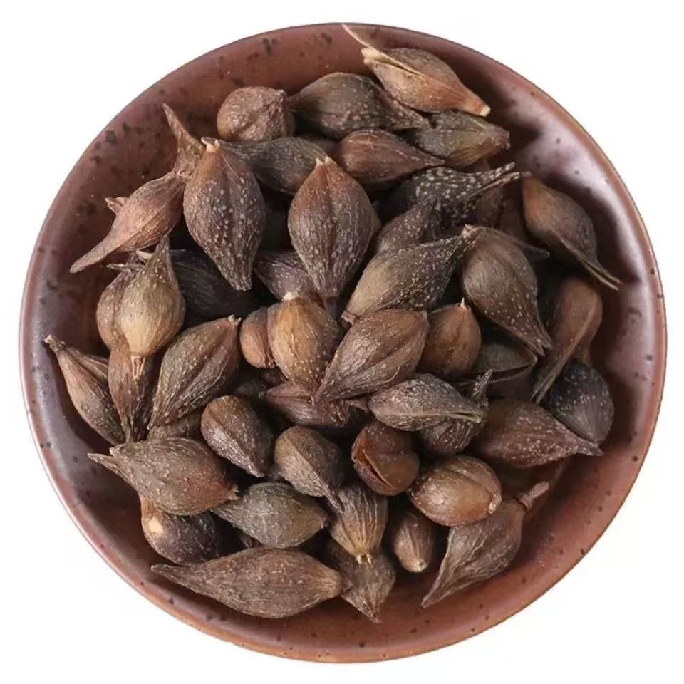 连翘 无柄连翘 药都芍哥精选农产品 枸杞 等多个品种