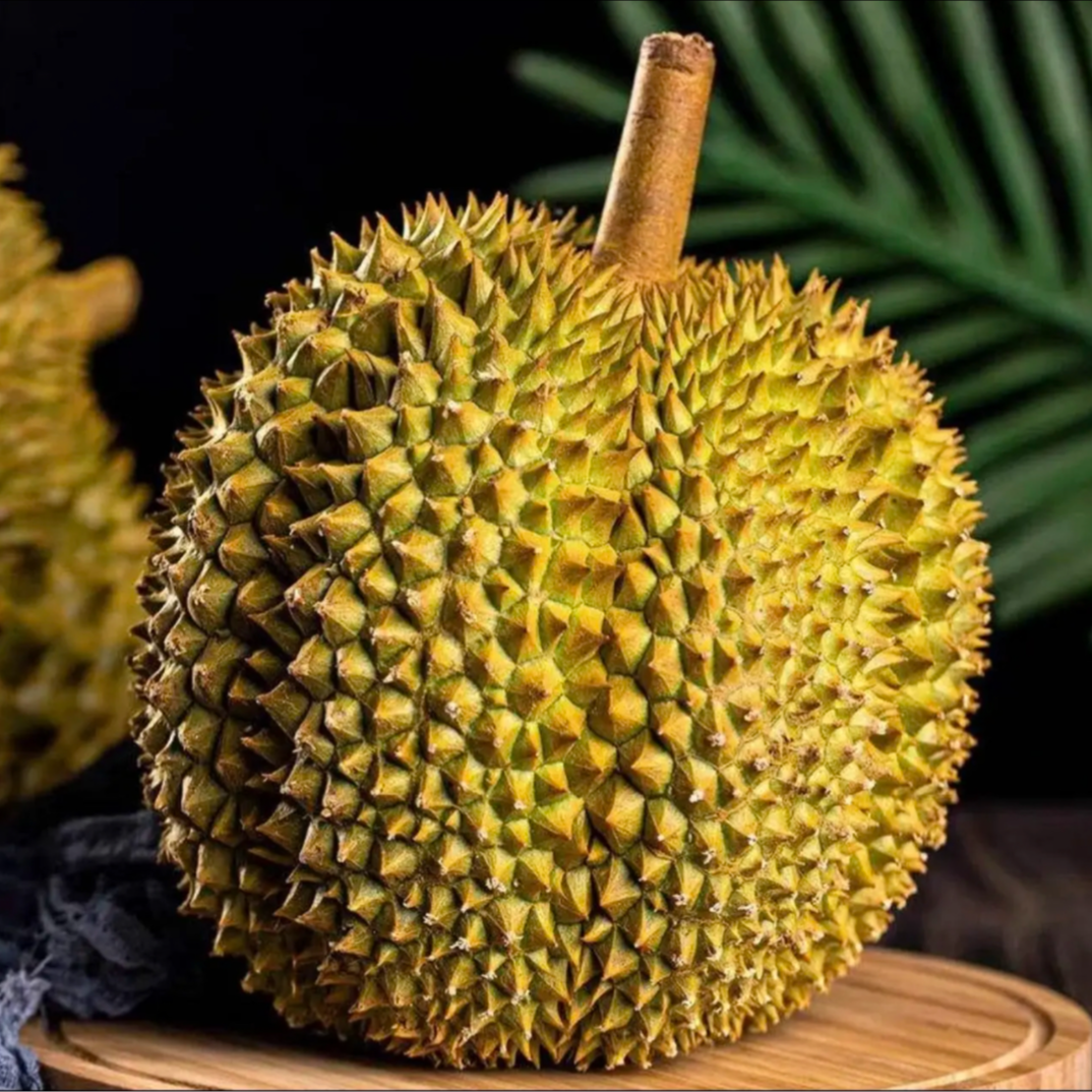 金枕榴莲整果（一物一拍）