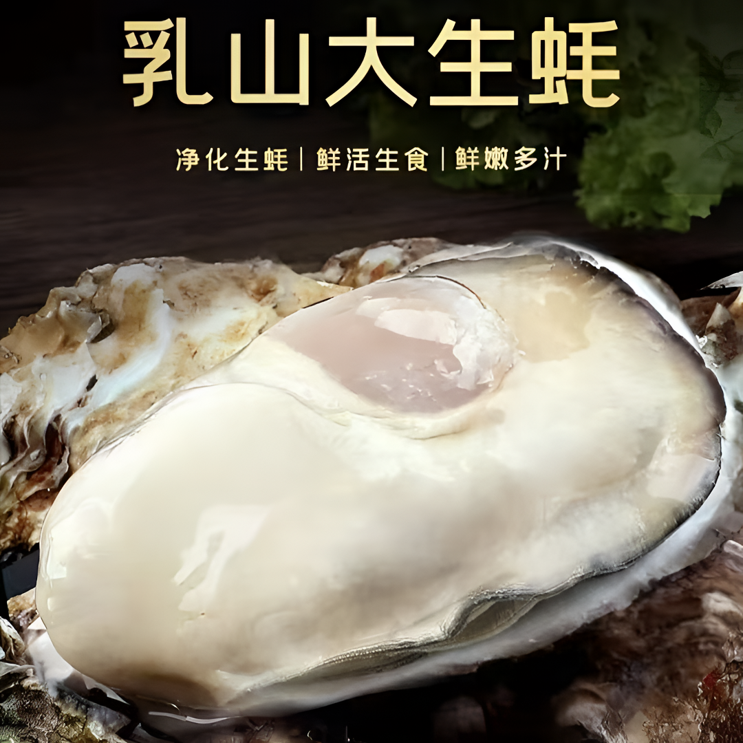【2还没开价正宗精品乳山生蚝】黄金5-7两 买5斤送2斤 共7斤 海鲜